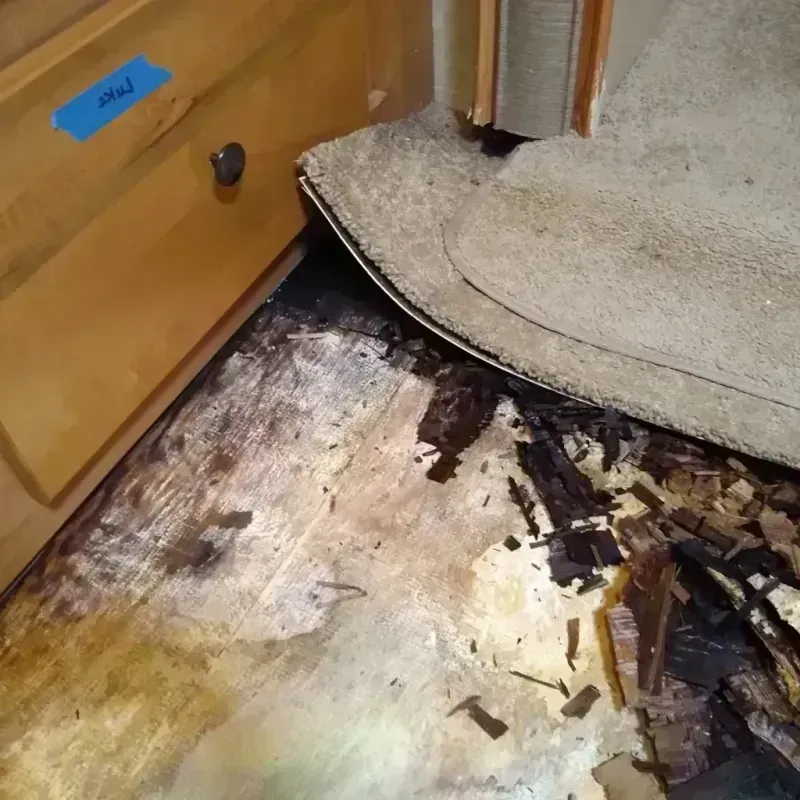 Best Wood Floor Water Damage Service in Steele County, MN